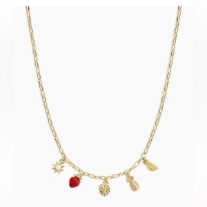 Gorjana summer mini charm necklace